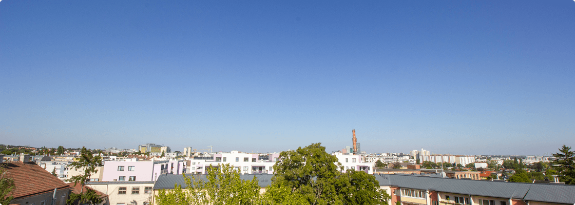 Daily view over Vienna